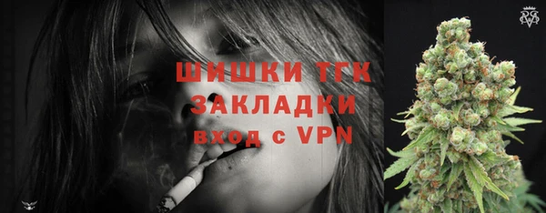 стаф Дмитровск