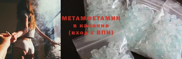PSILOCYBIN Дмитриев
