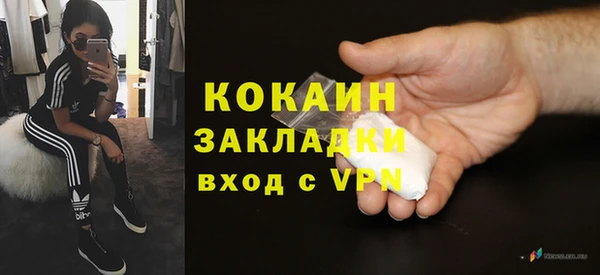 PSILOCYBIN Дмитриев