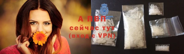 PSILOCYBIN Дмитриев