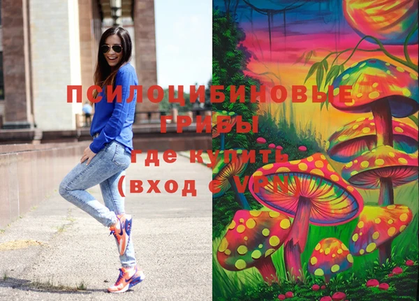 PSILOCYBIN Дмитриев